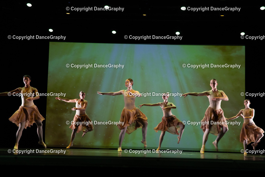 GPHY6305 | DanceGraphy - Realisiert mit Pictrs.com