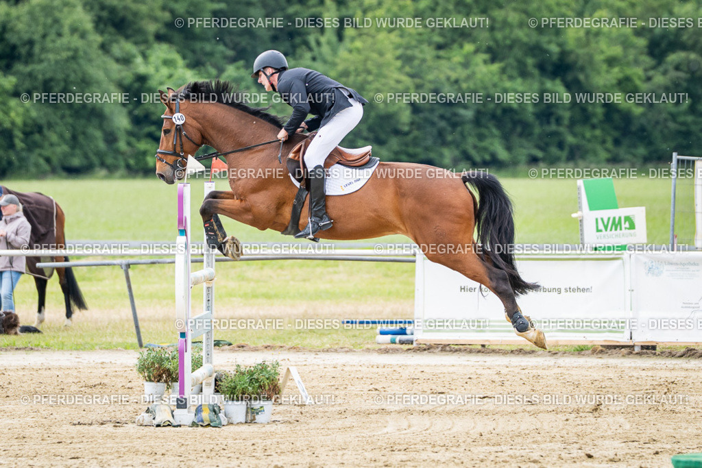 DSC04948 | Pferdegrafie