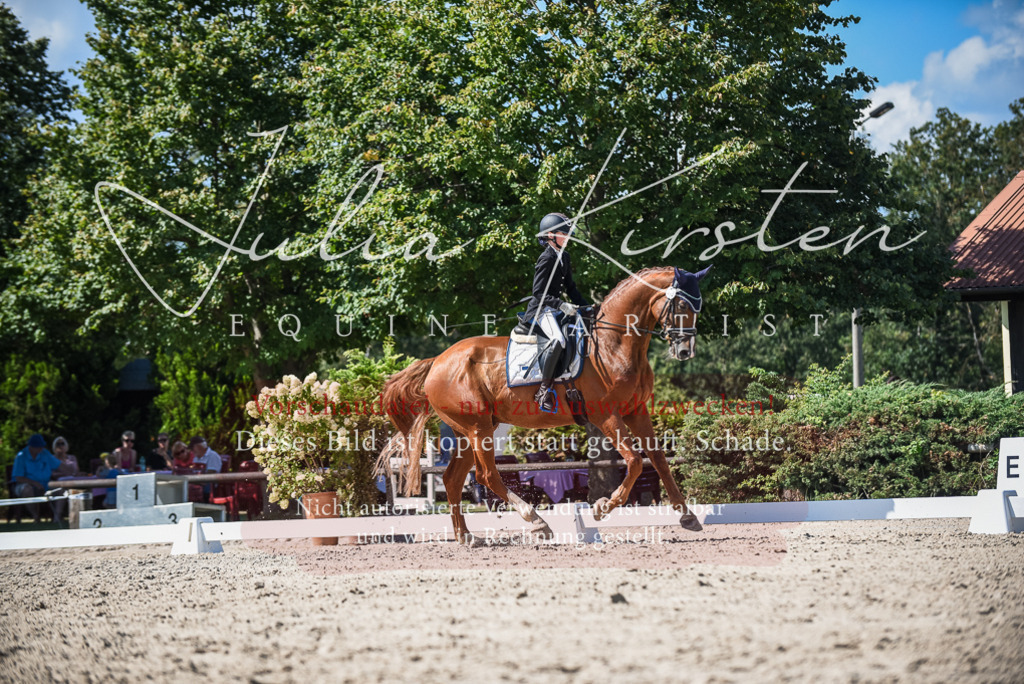 DSC_9525 | Pferde- und Turnierfotografie in Westsachsen. Pferdeportraits, Auftragszeichnungen und intuitive Kunst.