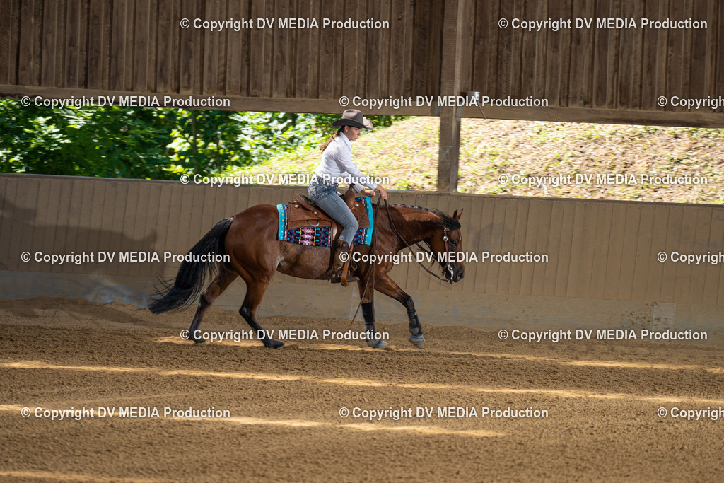 DSC00008-2 | dv-media-shop - Realisiert mit Pictrs.com