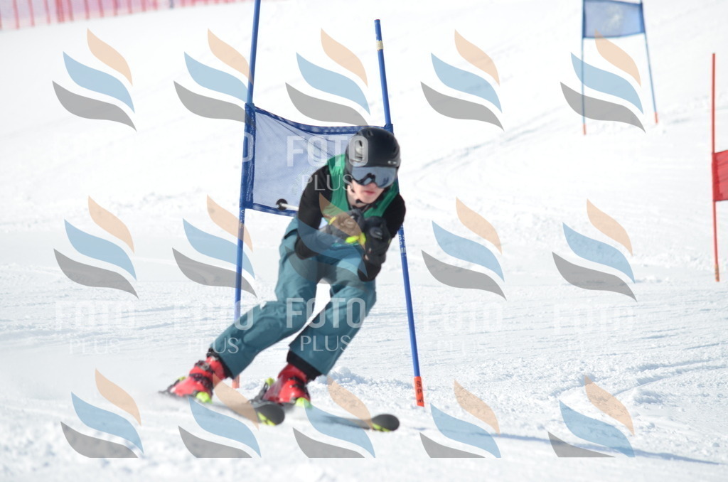 D9138 | holidayphoto