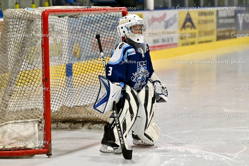 ESC SPARKASSE STEINDORF vs. EHC Althofen | Nachwuchs ESC Steindorf, ESC SPARKASSE STEINDORF vs. EHC Althofen, ESC SPARKASSE STEINDORF vs. EHC Althofen am 06.03.2026 in Steindorf (Ossiachersee Halle), Austria, (Photo by Bernd Stefan)