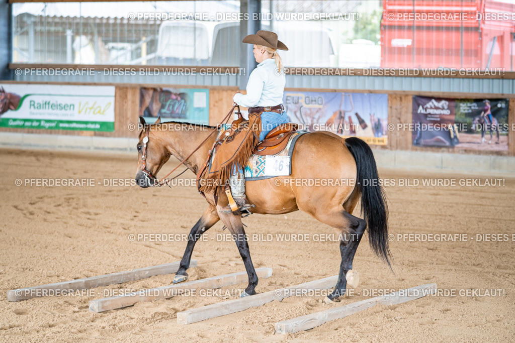 DSC07918 | Pferdegrafie