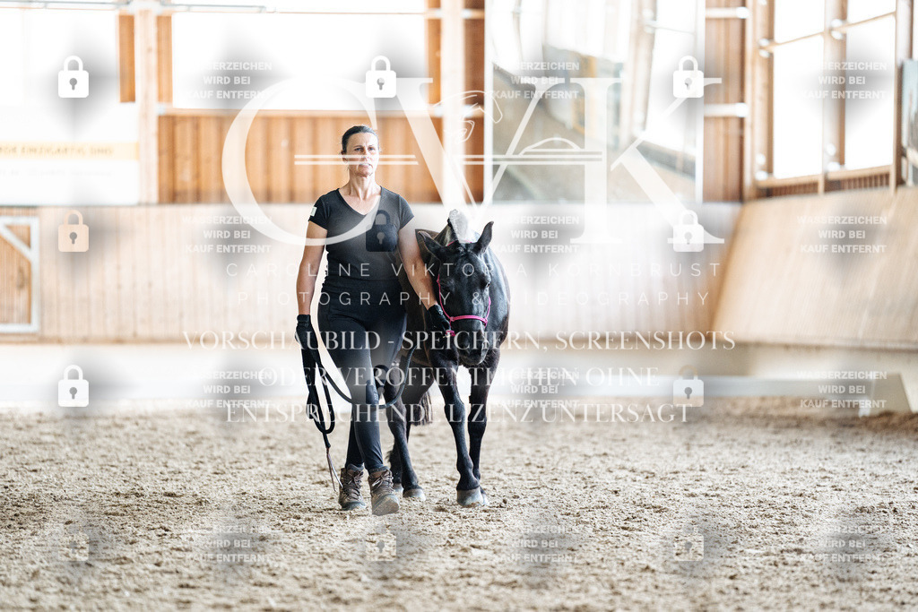 CK908321 | Turnierfotografie Pferdefotografie Trier Rheinland-Pfalz Pferdesport Reitsport Tierfotografie Sportfotografie Pferdevideo Pferdevideografie Equestrianvideography equestrianphotography  - Realisiert mit Pictrs.com