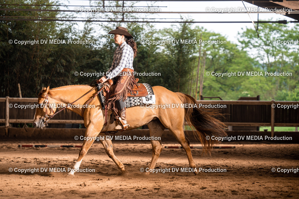 Erbach Tag 4-775 | dv-media-shop - Realisiert mit Pictrs.com