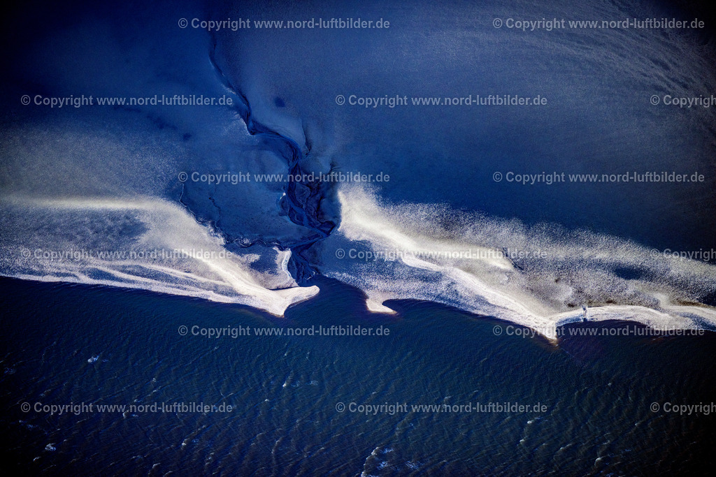 Wattenmeer_Spo_Muschelbänke_Pril_ELS_3880130625 | FRIEDRICHSKOOG 13.06.2025 Wattenmeer Muschelbänke von Friedichskoog im Bundesland Schleswig-Holstein, Deutschland. // Wadden Sea mussel beds of Friedichskoog in the federal state of Schleswig-Holstein, Germany. Foto: Martin Elsen