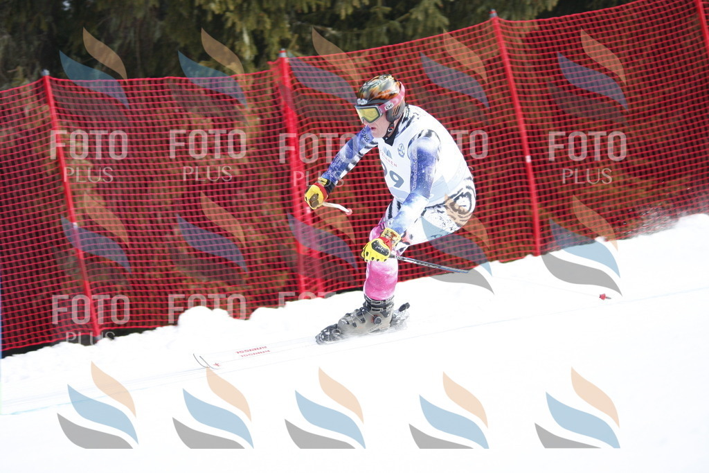 D6333 | holidayphoto