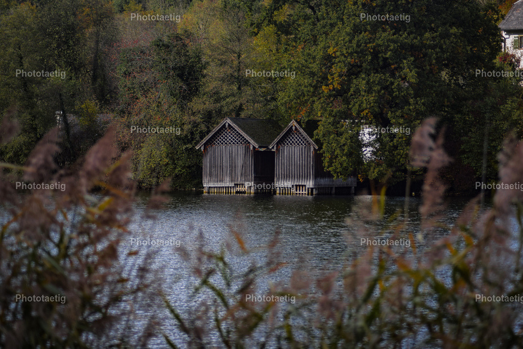 IMG_3959 | phototaetig