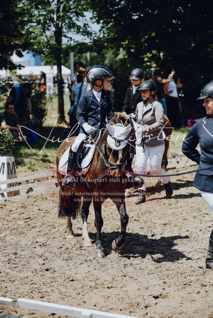 DSC_2180 | Pferde- und Turnierfotografie in Westsachsen. Pferdeportraits, Auftragszeichnungen und intuitive Kunst.