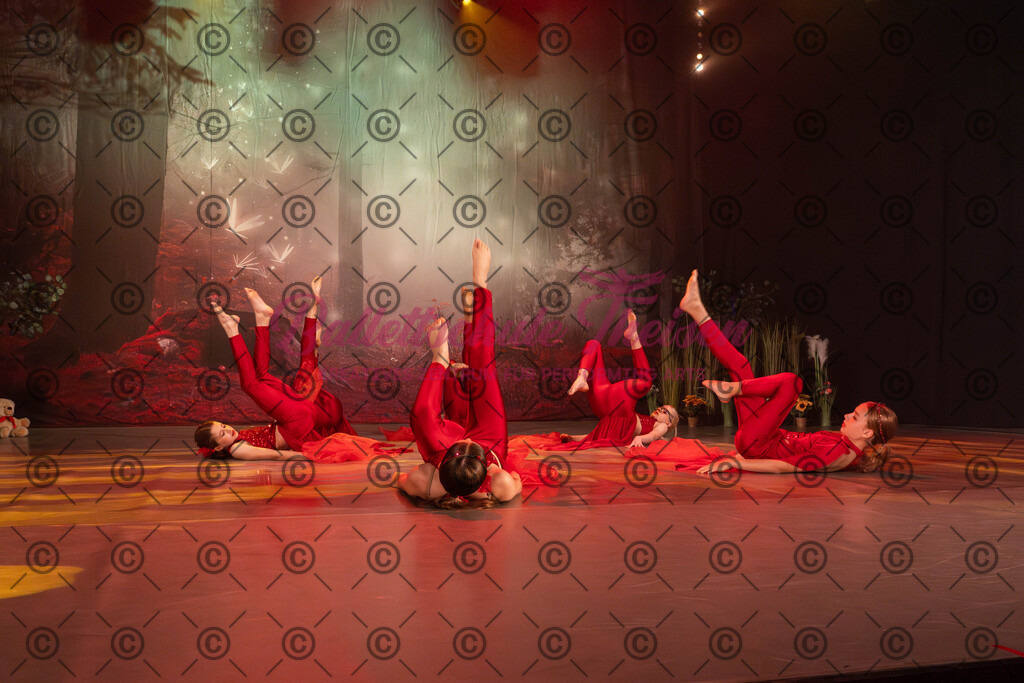 Ballettaufführung-966 | Bildershop Lem'n Entertainment - Realisiert mit Pictrs.com