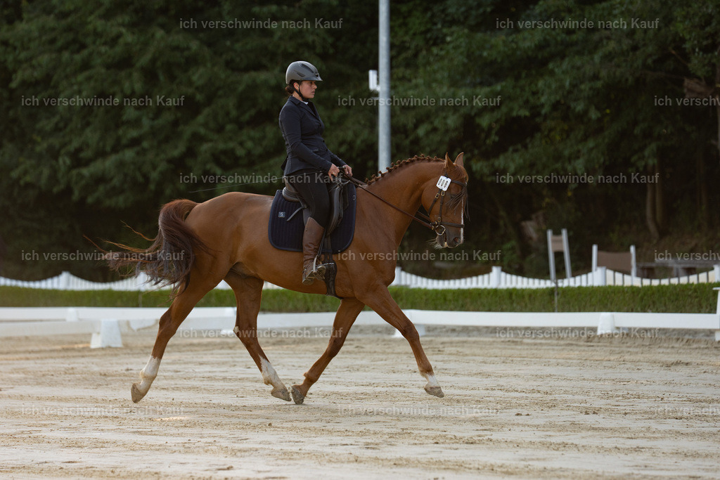 WA_DR_64_SinaFilmArt_IN09994 | working equitationturnier fotograf videograf stoibphotography marixx film working equitation deutschland reitsport turnierfotografie eventfotografie equestrian events