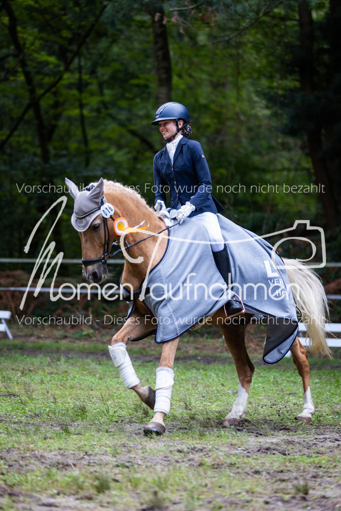 HB-A-Dressur-182 | MomenTaufnahmen Pferdesportfotos