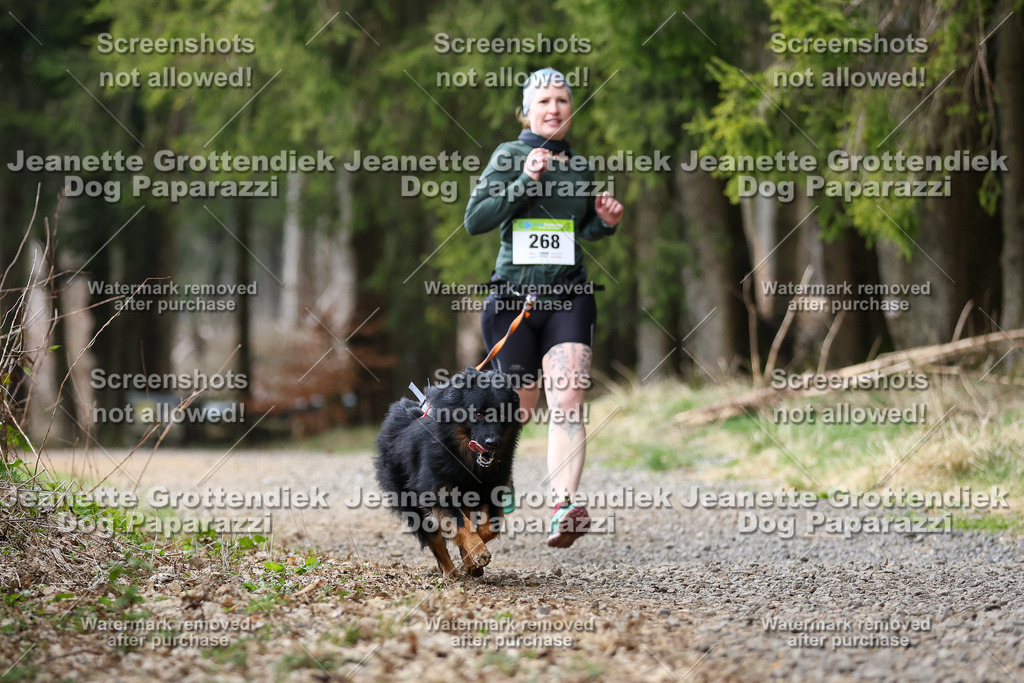 Dog Paparazzi - VCC26-386 | Dog Paparazzi Jeanette Grottendiek Fotografie & Videografie - Realisiert mit Pictrs.com