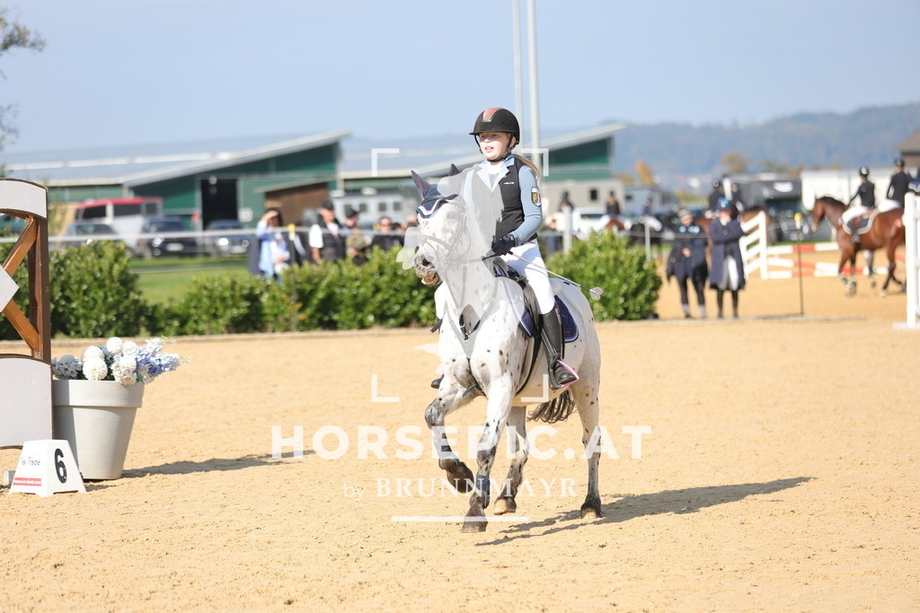 0P6A7975 | Willkommen bei Brunnmayr - Design & Fotografie – Ihrem Spezialisten für Reitturniere und Pferdeveranstaltungen in Oberösterreich, Salzburg und Bayern! Seit über 17 Jahren sind wir leidenschaftlich dabei.