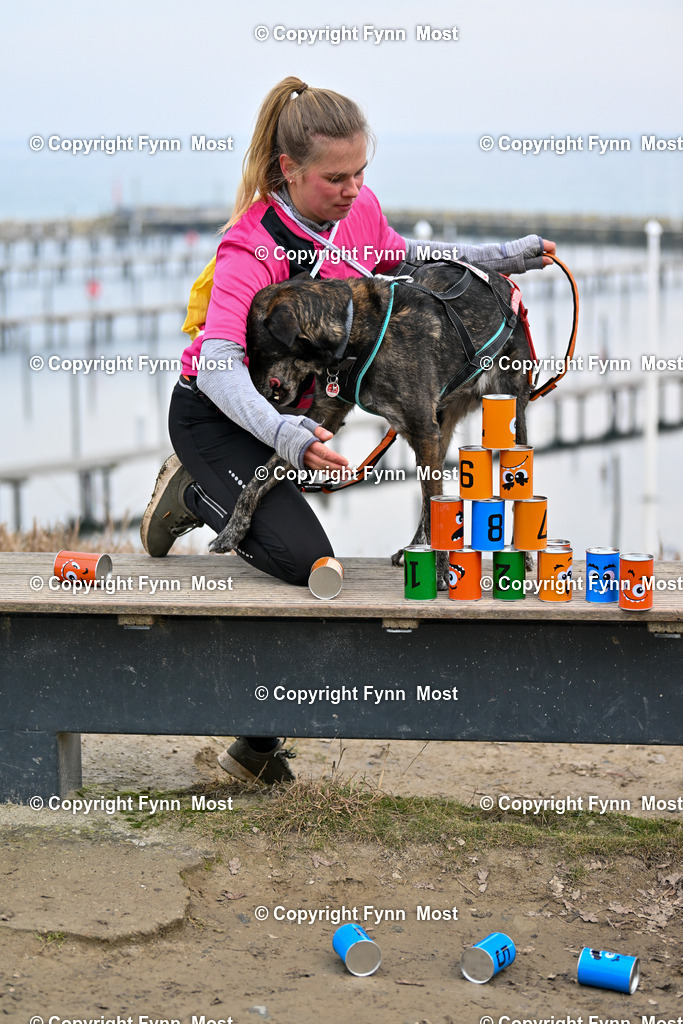 DSC_2675 | Hallo und herzlich Willkommen auf meiner Shop-Seite Fynn Most.

Ich wünsche Dir viel Spaß beim stöbern durch die Bilder, wenn Du Fragen hast oder Bilder vermisst, kannst du mir gerne eine Nachricht schreiben. - Realisiert mit Pictrs.com