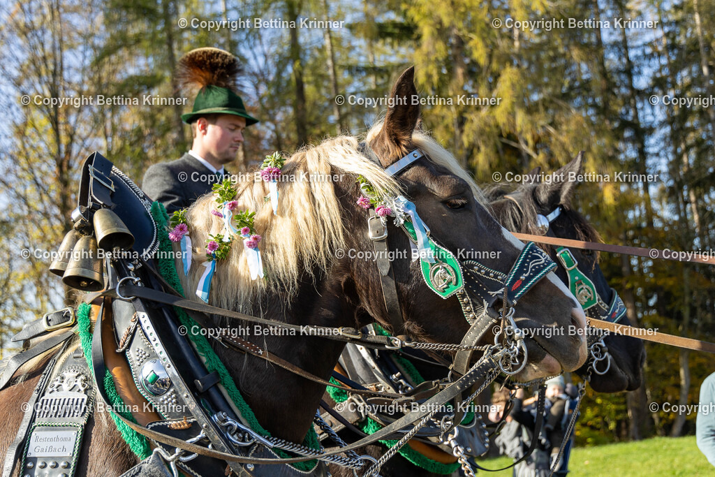 LBT24-1334 | foto-bettina-krinner - Realisiert mit Pictrs.com