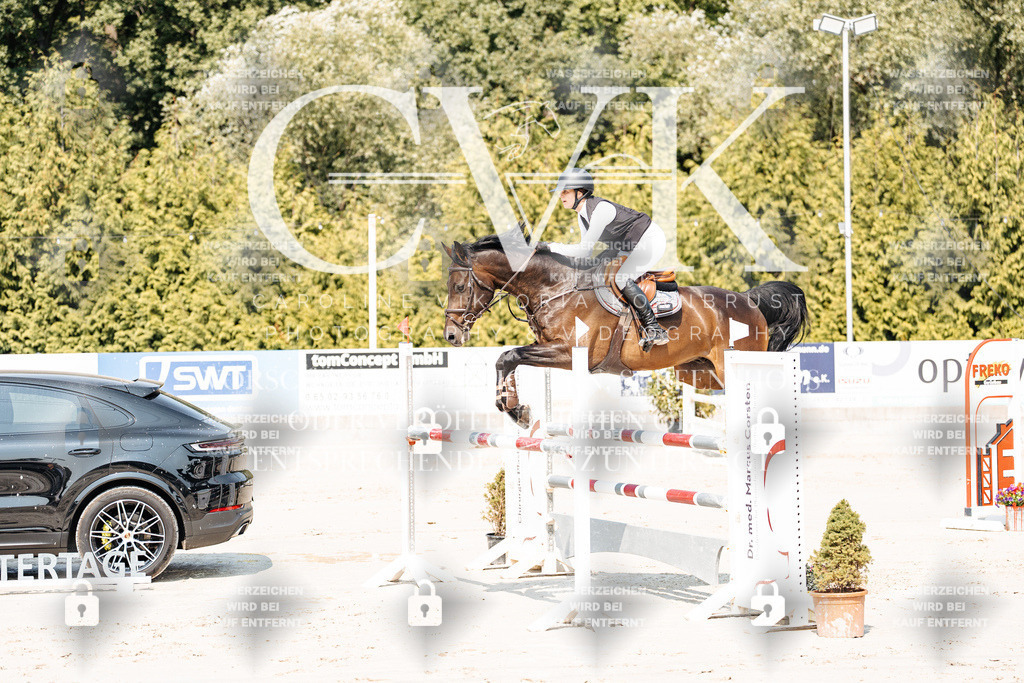 CK901520 | Turnierfotografie Pferdefotografie Trier Rheinland-Pfalz Pferdesport Reitsport Tierfotografie Sportfotografie Pferdevideo Pferdevideografie Equestrianvideography equestrianphotography  - Realisiert mit Pictrs.com