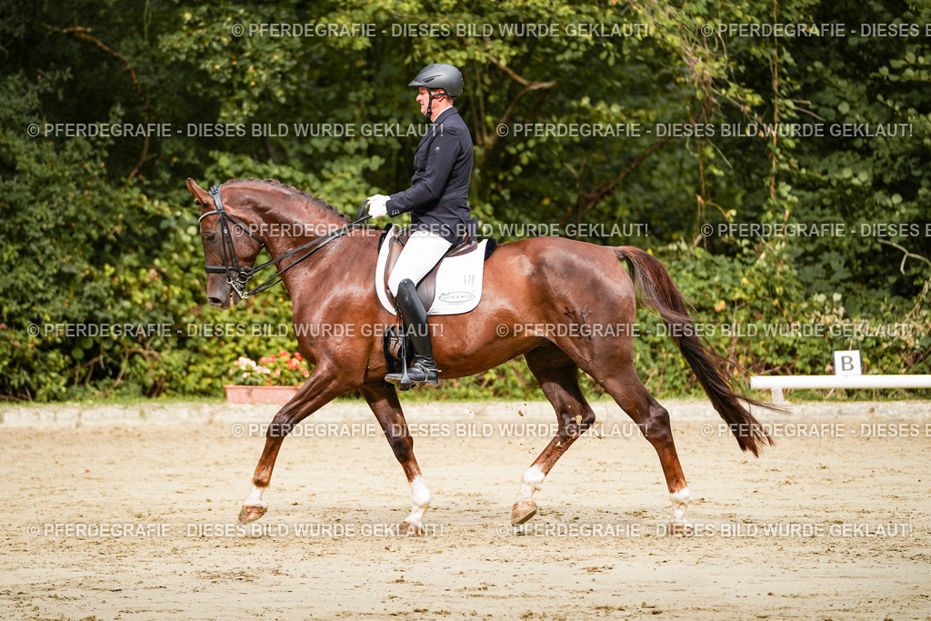 DSC03606 | Pferdegrafie