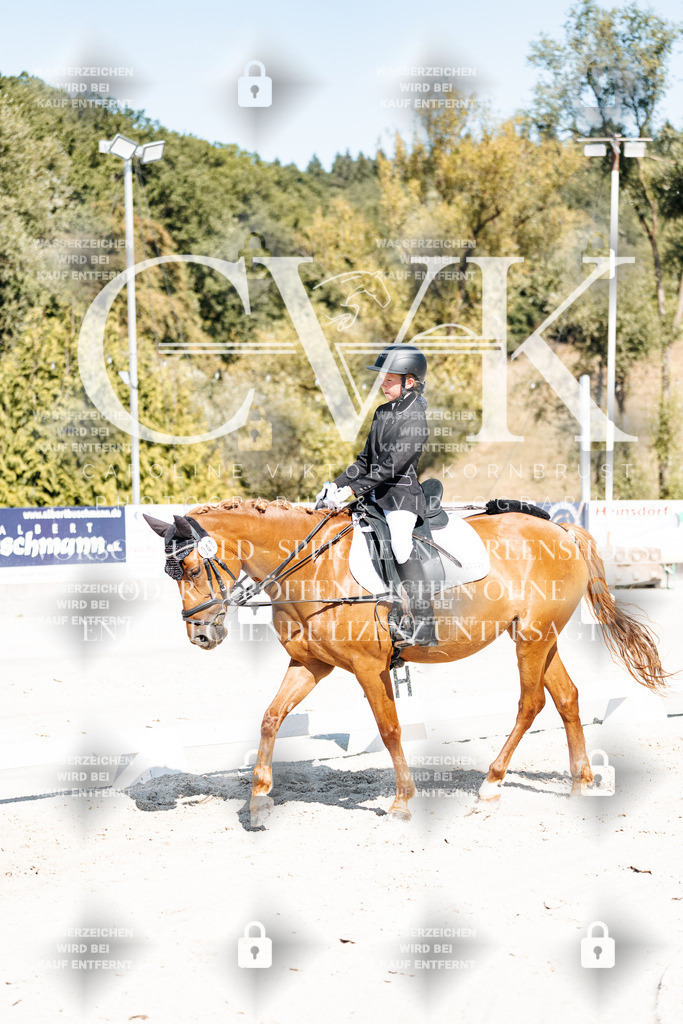 CK902988 | Turnierfotografie Pferdefotografie Trier Rheinland-Pfalz Pferdesport Reitsport Tierfotografie Sportfotografie Pferdevideo Pferdevideografie Equestrianvideography equestrianphotography  - Realisiert mit Pictrs.com