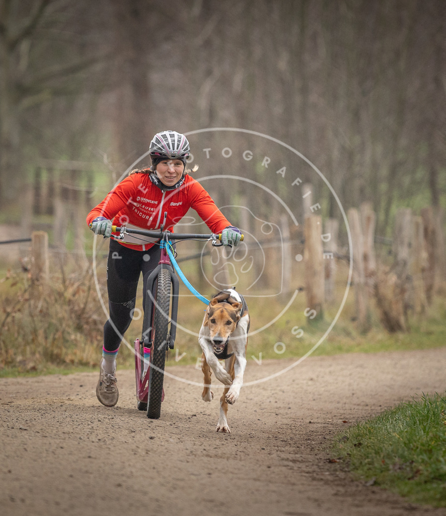 Pfotenfotografie_DV3A2071 | Hundefotografie, Tierfotograf, Pfotenfotografie, Fotoshooting Hund, Hunde Portrait, Hundesport, Hundeportraits, Heideshooting, Hunde, Sportfotograf, Hundefotograf, Turnierhundsport, THS,  - Realisiert mit Pictrs.com