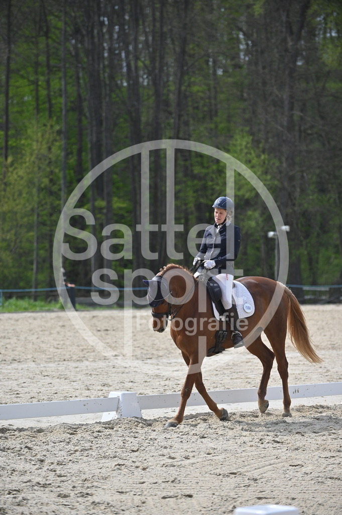 DSC_4537 | sattelsport - Realisiert mit Pictrs.com