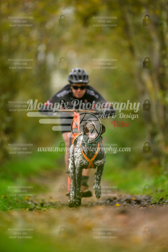 MompixPhotography_20TSB_E6_DS1-60 | PayLife