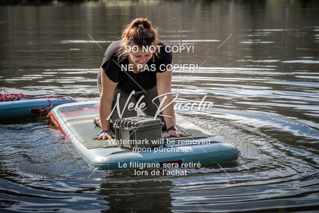 NR__2294 | nelerasche
