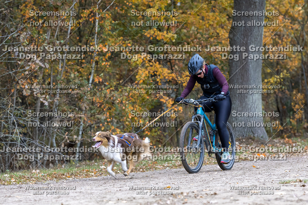 Dog Paparazzi - SD CaniX Championship 2025-591 | Dog Paparazzi Jeanette Grottendiek Fotografie & Videografie - Realisiert mit Pictrs.com