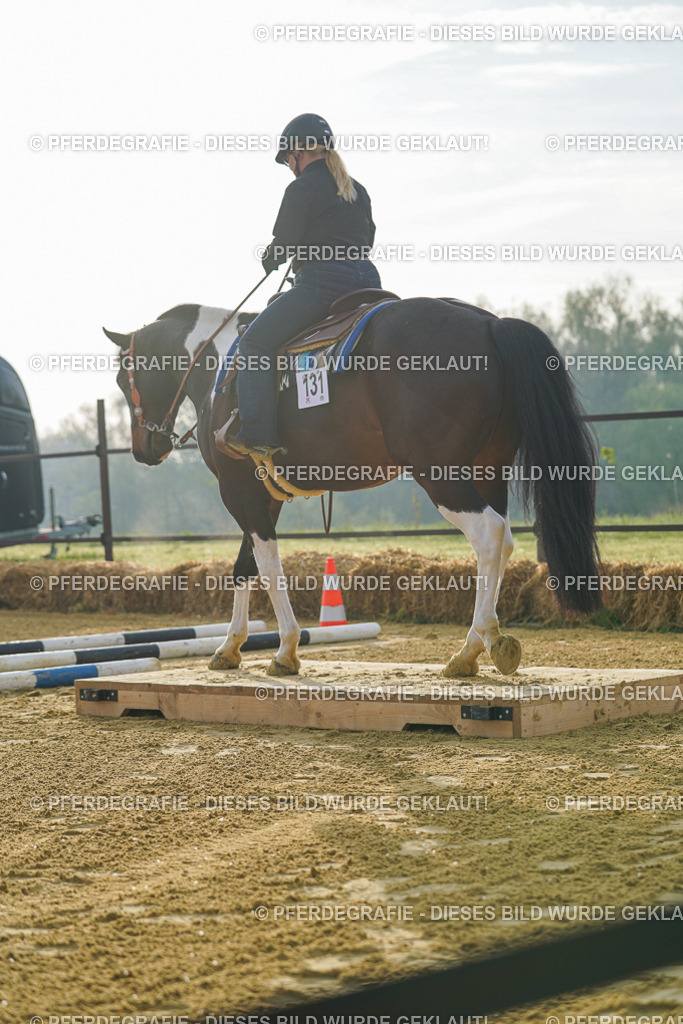 DSC09814 | Pferdegrafie