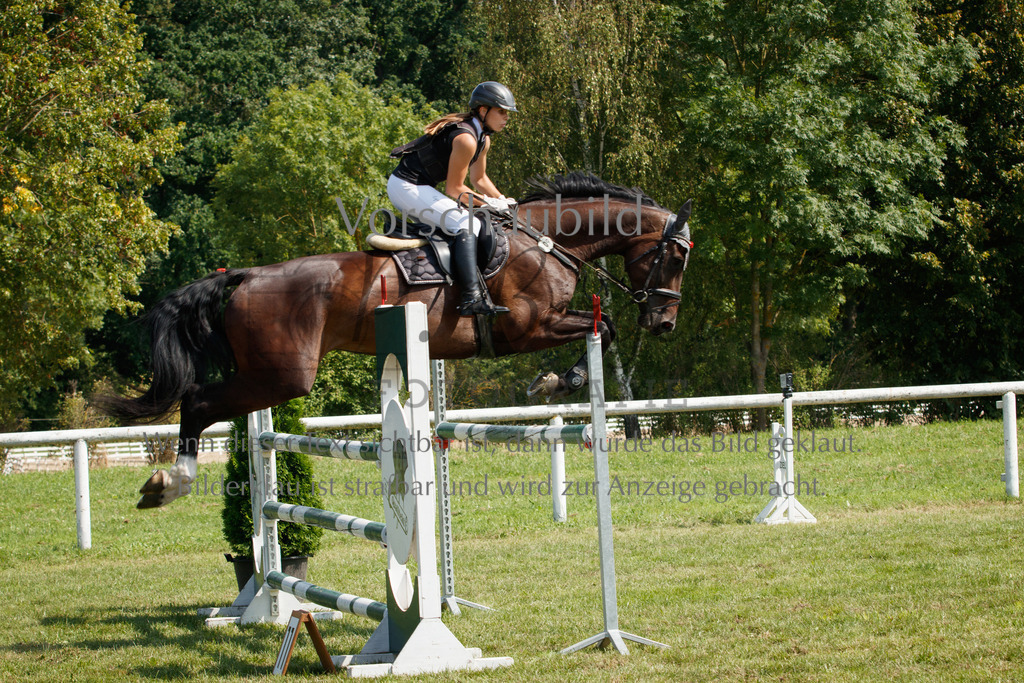 IMG_3550 | P. Berger Fotografie - Realisiert mit Pictrs.com