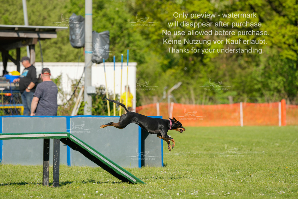 Sa_CSC-470 | stephaniefillaphotographie - Realisiert mit Pictrs.com