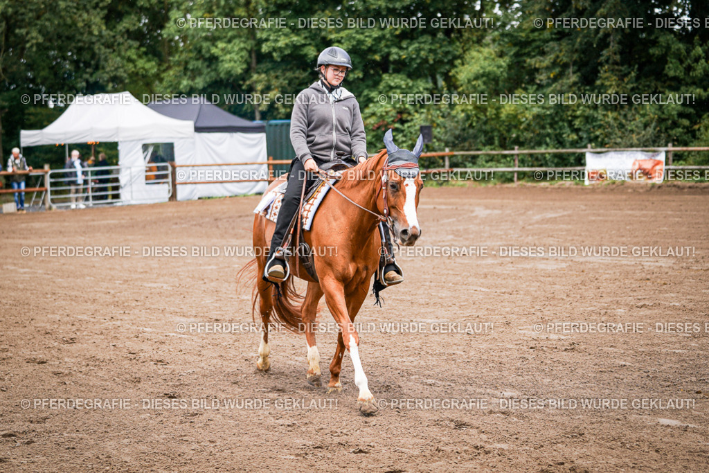 DSC05628 | Pferdegrafie