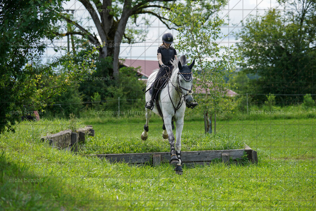 20240622-FAH07975 | Turnierfotografen Bayern, Reitsportbilder aus dem Geländekurs mit Felix Etzel auf dem Gut Waitzacker 2024