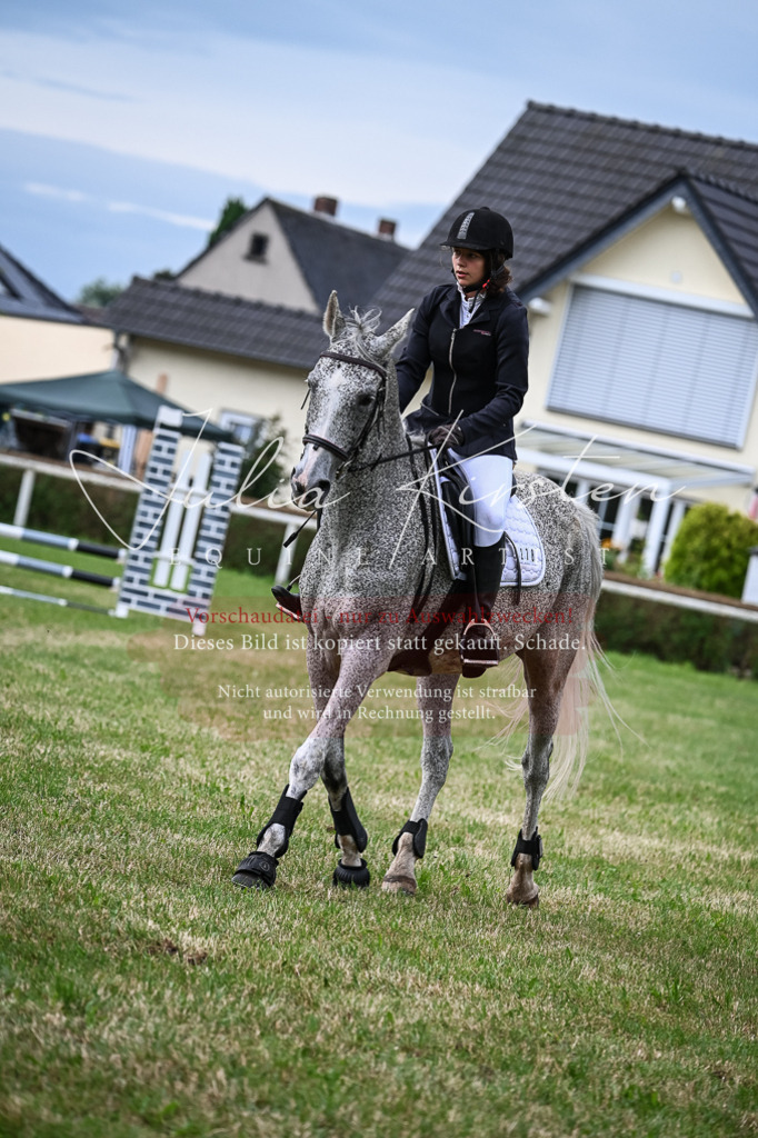 DSC_8349 | Pferde- und Turnierfotografie in Westsachsen. Pferdeportraits, Auftragszeichnungen und intuitive Kunst.