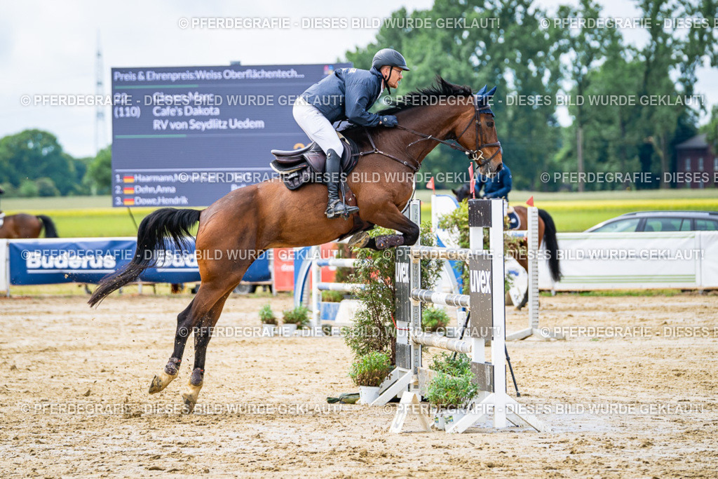 DSC04011 | Pferdegrafie