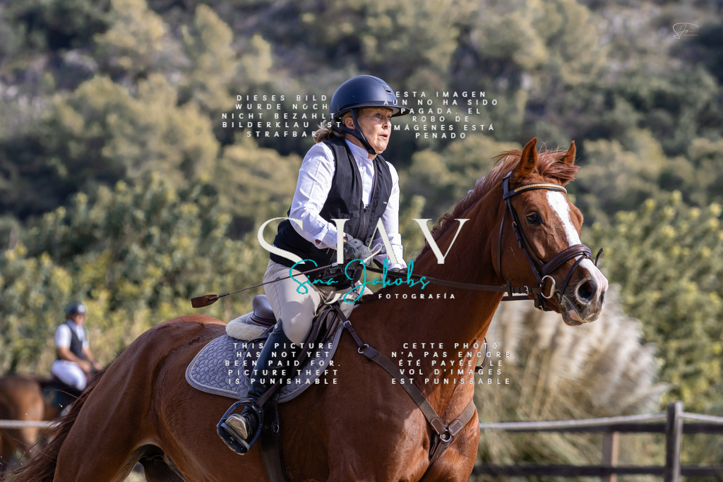 IMG_0561 | s-jay-photography - Realisiert mit Pictrs.com