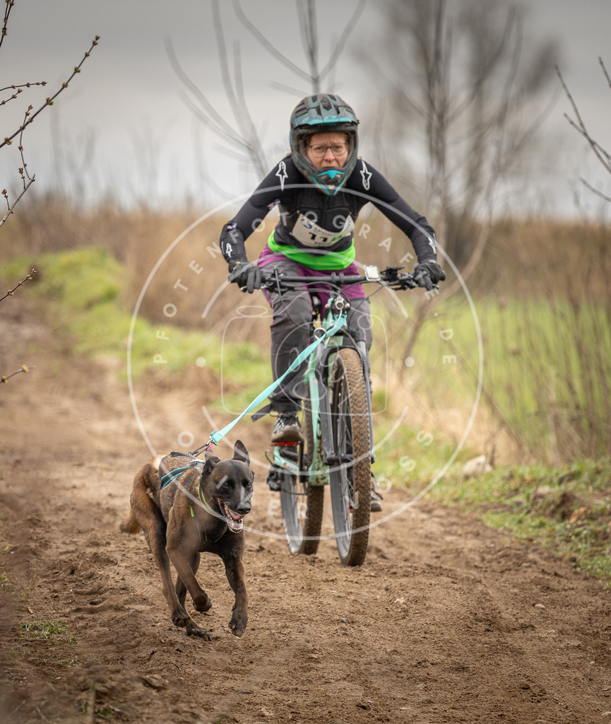 DV3A0853 | Hundefotografie, Tierfotograf, Pfotenfotografie, Fotoshooting Hund, Hunde Portrait, Hundesport, Hundeportraits, Heideshooting, Hunde, Sportfotograf, Hundefotograf, Turnierhundsport, THS,  - Realisiert mit Pictrs.com