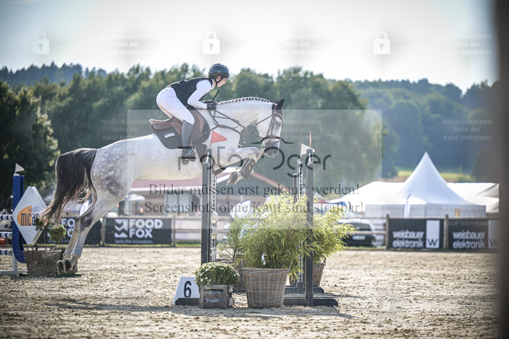 DOS_0466 | Entdecke hochwertige Reitturnierfotos von Foto Oger. Professionell, emotional und authentisch – jetzt Lieblingsmomente im Shop bestellen. - Realisiert mit Pictrs.com