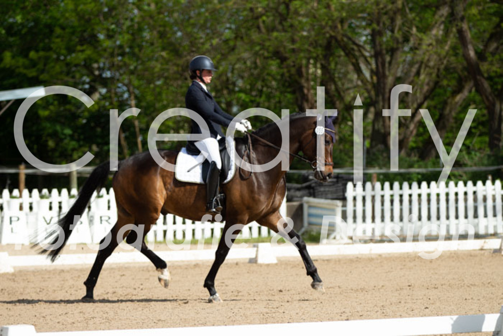 IMG_3500 | Creatify Fotografie