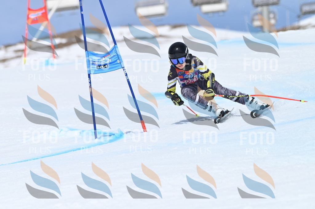 BGV_1755 | holidayphoto