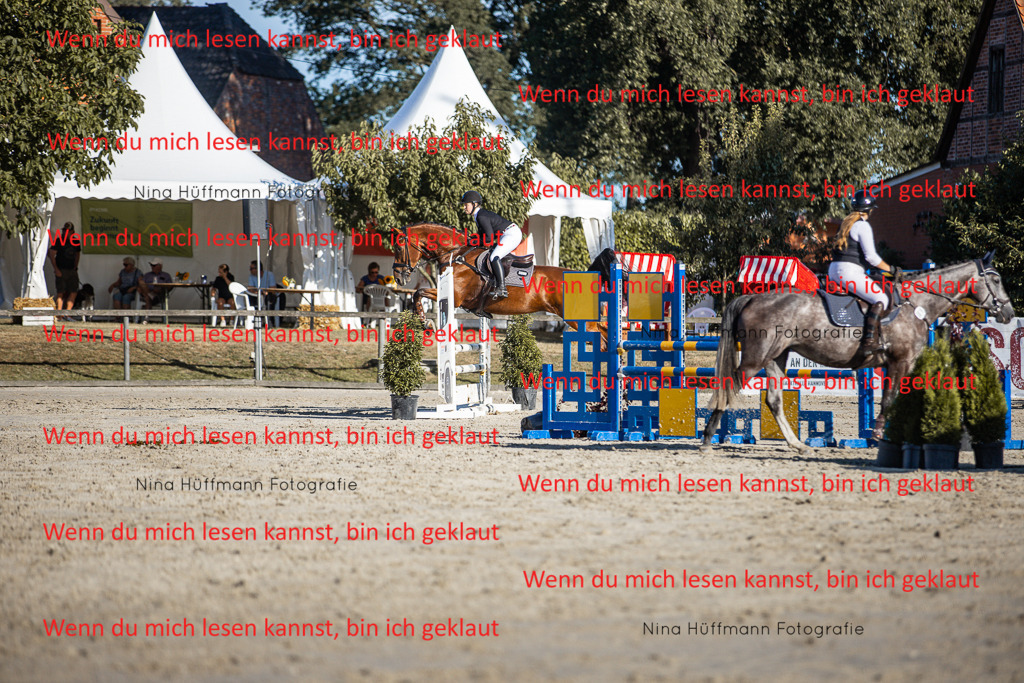 BK1A7734 | Turnierbilder Turnierfotos Nina Hüffmann Turnierfotografie Pferdefotografie Tierzeichnung Haustierzeichnung Pferdezeichnung Hundezeichnung Videograf  - Realisiert mit Pictrs.com