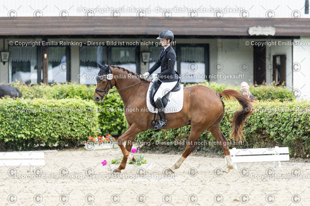 CL5A5819-2 | Emilia Reinking Fotografie - Realisiert mit Pictrs.com