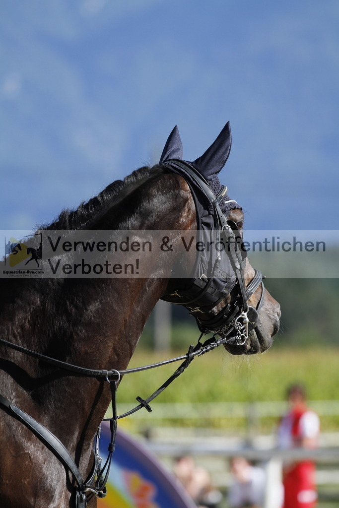 _MG_1833 | equestrian-live-com