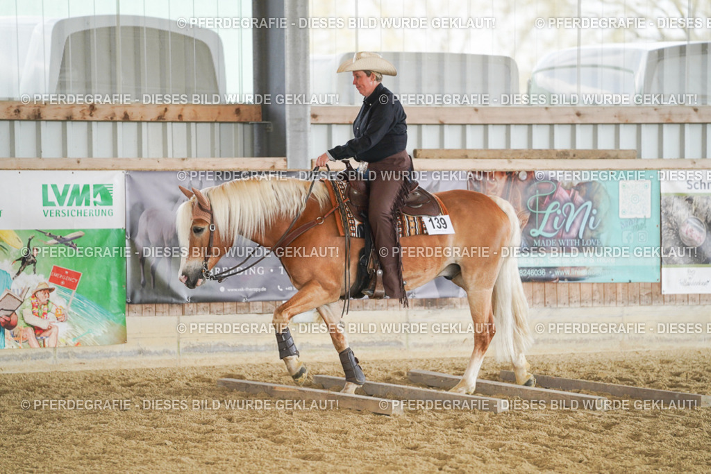 DSC01725 | Pferdegrafie