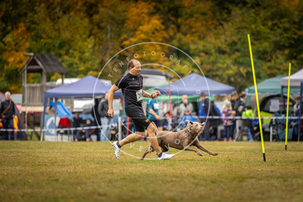 Pfotenfotografie_DV3A2282 | Hundefotografie, Tierfotograf, Pfotenfotografie, Fotoshooting Hund, Hunde Portrait, Hundesport, Hundeportraits, Heideshooting, Hunde, Sportfotograf, Hundefotograf, Turnierhundsport, THS,  - Realisiert mit Pictrs.com