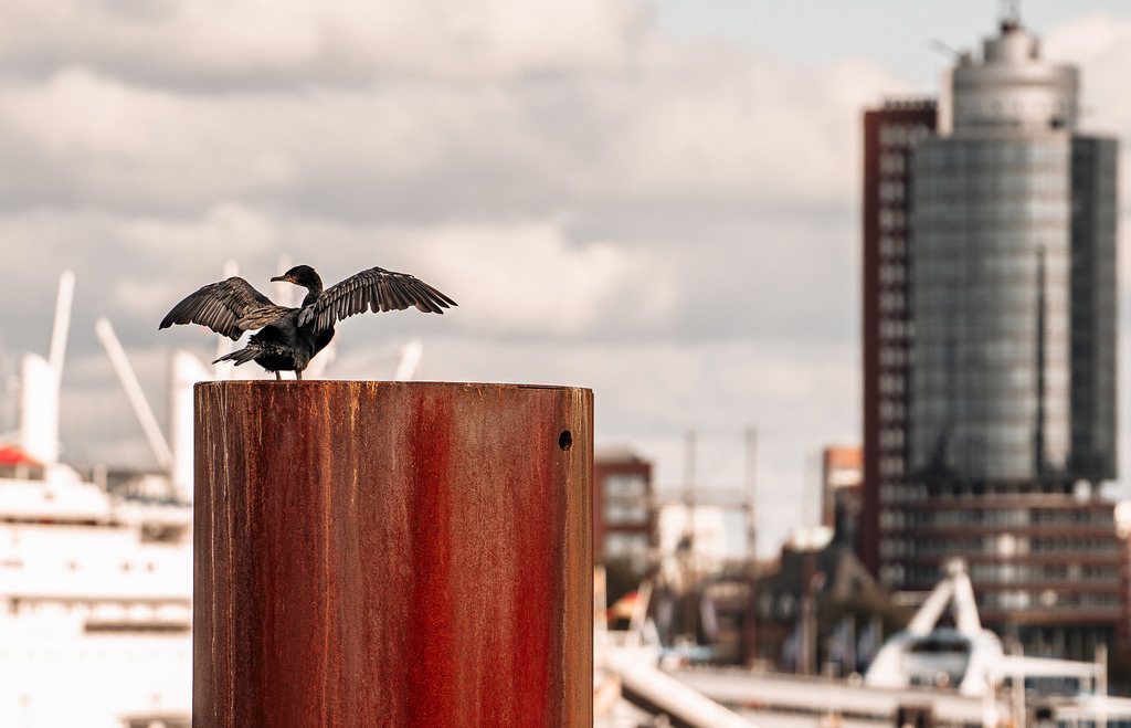 JM.Frl.W.underlich-30 | frl-wunderlich - Realisiert mit Pictrs.com