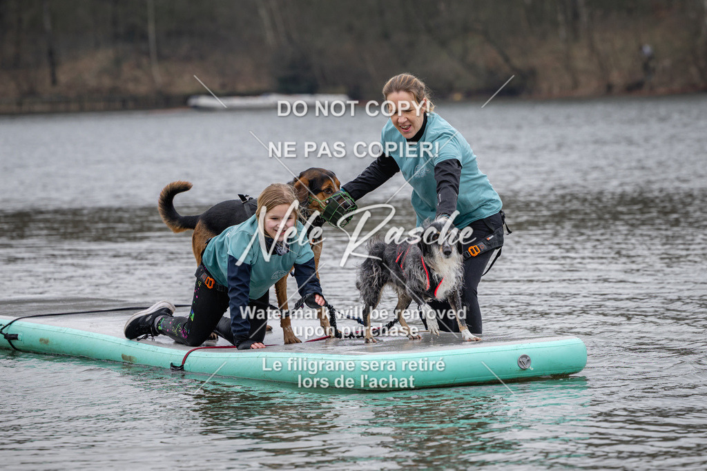nelerasche_Hulsbeek_Sa1330-1430_141 | nelerasche
