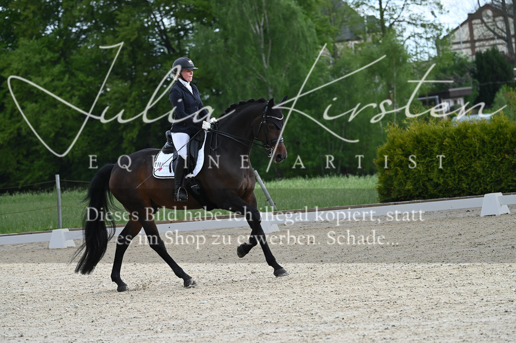20230512_JK-Röhrsdorf-05-002 | Pferde- und Turnierfotografie in Westsachsen. Pferdeportraits, Auftragszeichnungen und intuitive Kunst.
