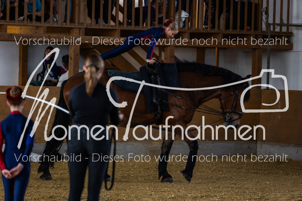 SS-Maxi-116 | MomenTaufnahmen Pferdesportfotos