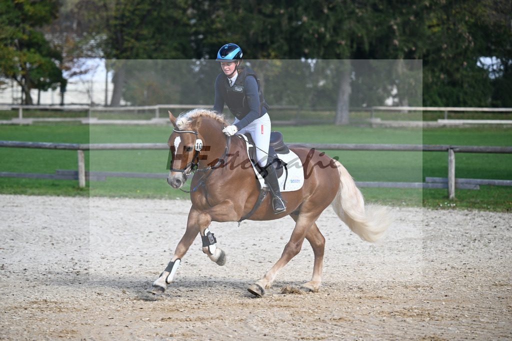 Kat-Nr. 10 Napoleon Bonaparte_Blum_44240676 | hf-fotografie - Realisiert mit Pictrs.com